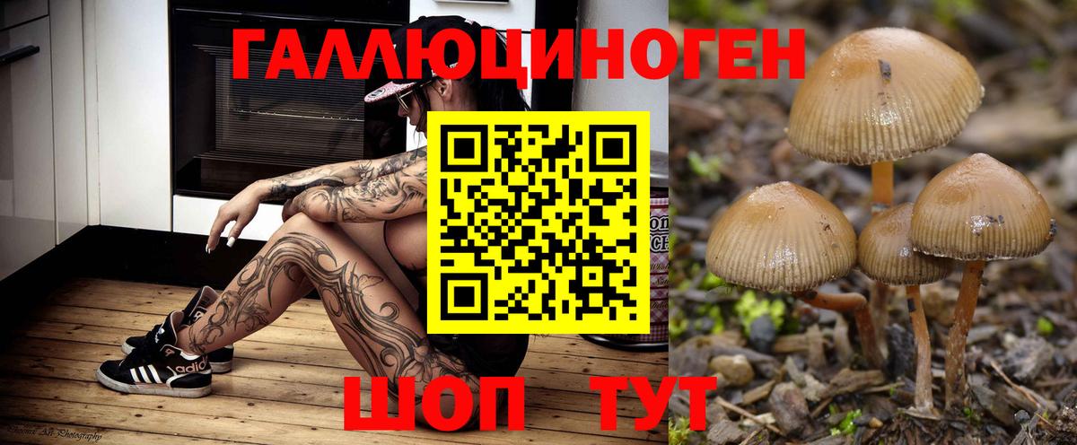 Галлюциногенные грибы ЛСД Александров