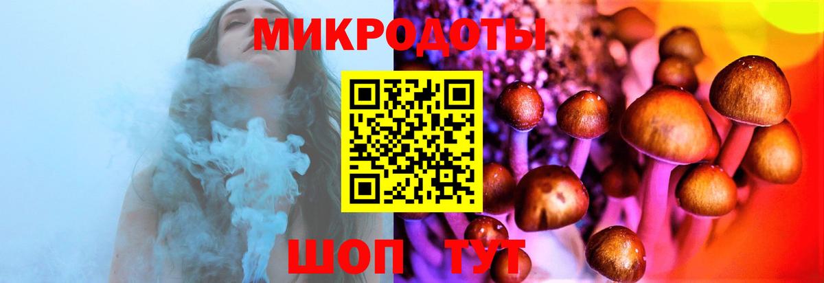 Псилоцибиновые грибы MAGIC MUSHROOMS  Вход с VPN  Александров 
