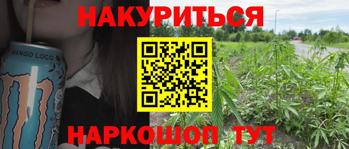 Конопля Bruce Banner Александров
